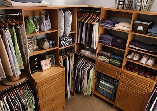 潮濕悶熱謹，當心蛇出沒