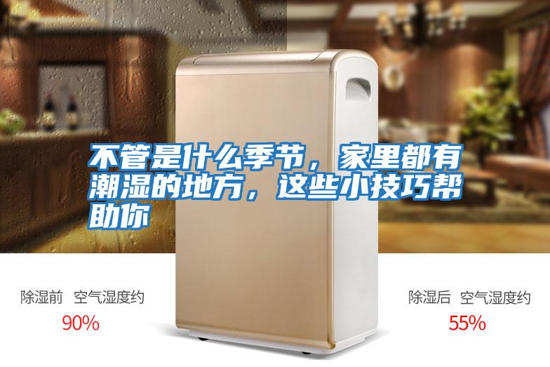 不管是什么季節，家里都有潮濕的地方，這些小技巧幫助你