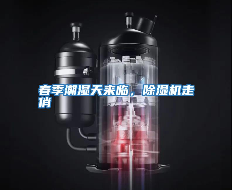 春季潮濕天來臨，除濕機走俏