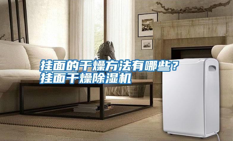 掛面的干燥方法有哪些？ 掛面干燥除濕機(jī)