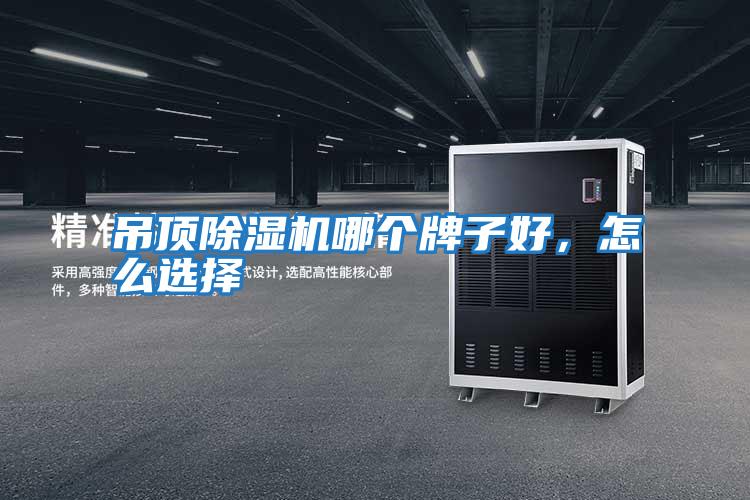 吊頂除濕機(jī)哪個牌子好，怎么選擇