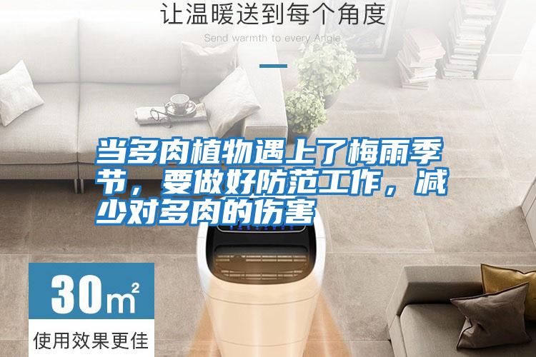 當(dāng)多肉植物遇上了梅雨季節(jié)，要做好防范工作，減少對多肉的傷害
