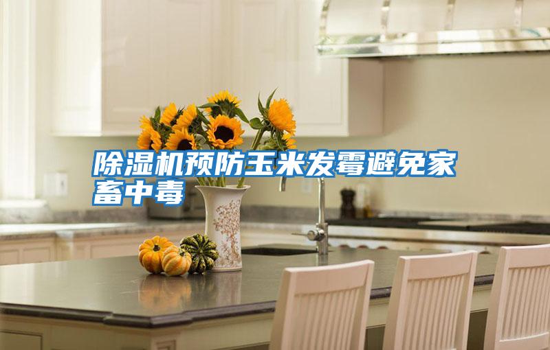 除濕機預防玉米發霉避免家畜中毒