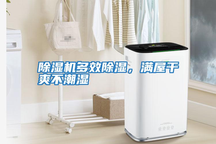 除濕機(jī)多效除濕，滿屋干爽不潮濕