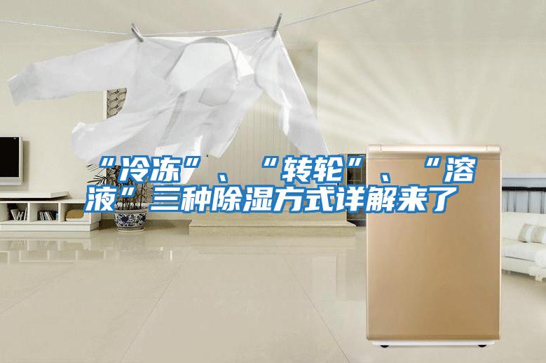 “冷凍”、“轉(zhuǎn)輪”、“溶液”三種除濕方式詳解來了