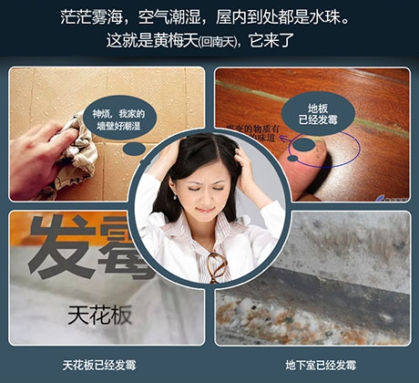 梅雨季將至，除濕機(jī)了解一下！