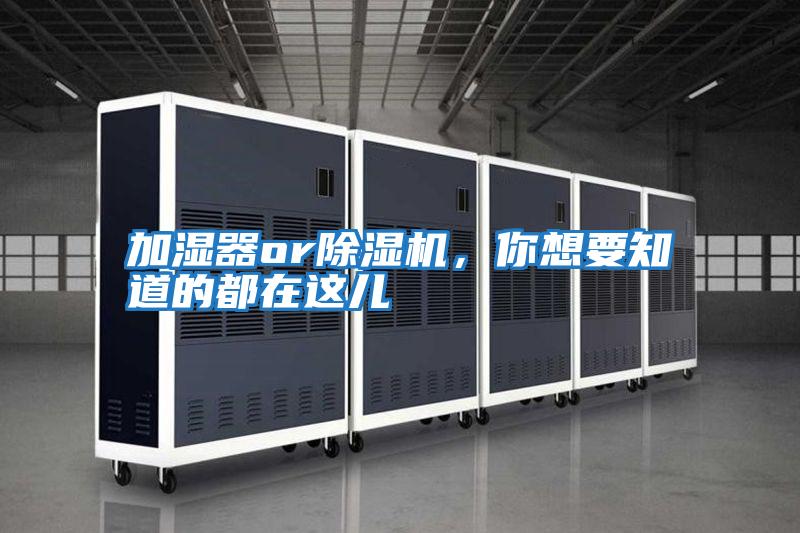 加濕器or除濕機，你想要知道的都在這兒