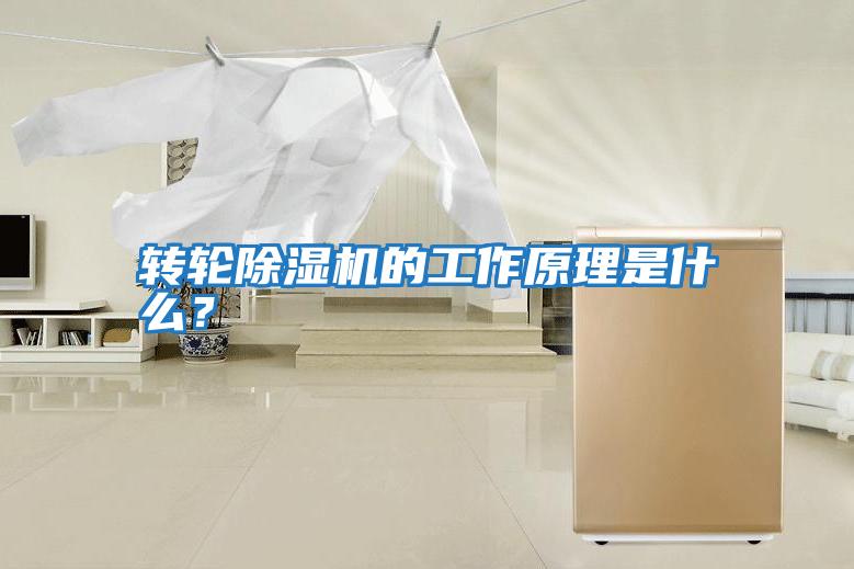 轉輪除濕機的工作原理是什么？