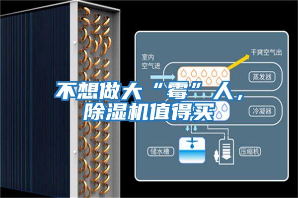 不想做大“霉”人，除濕機值得買