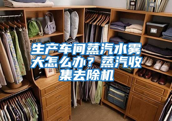 生產(chǎn)車間蒸汽水霧大怎么辦？蒸汽收集去除機(jī)