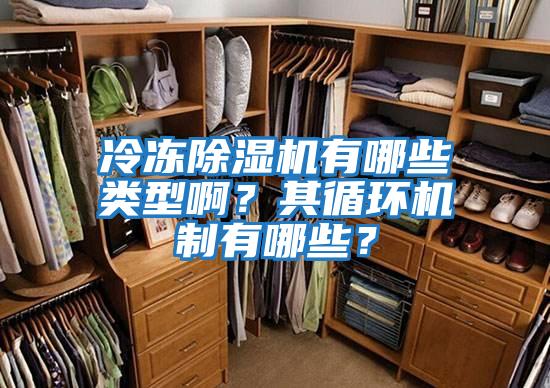 冷凍除濕機有哪些類型??？其循環(huán)機制有哪些？