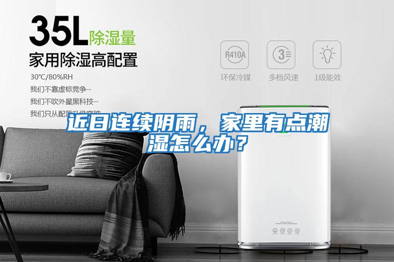 近日連續陰雨，家里有點潮濕怎么辦？