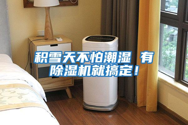 積雪天不怕潮濕 有除濕機就搞定！