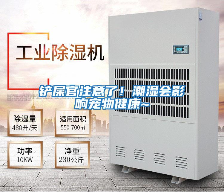 鏟屎官注意了！潮濕會(huì)影響寵物健康~