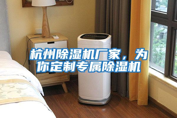 杭州除濕機廠家，為你定制專屬除濕機
