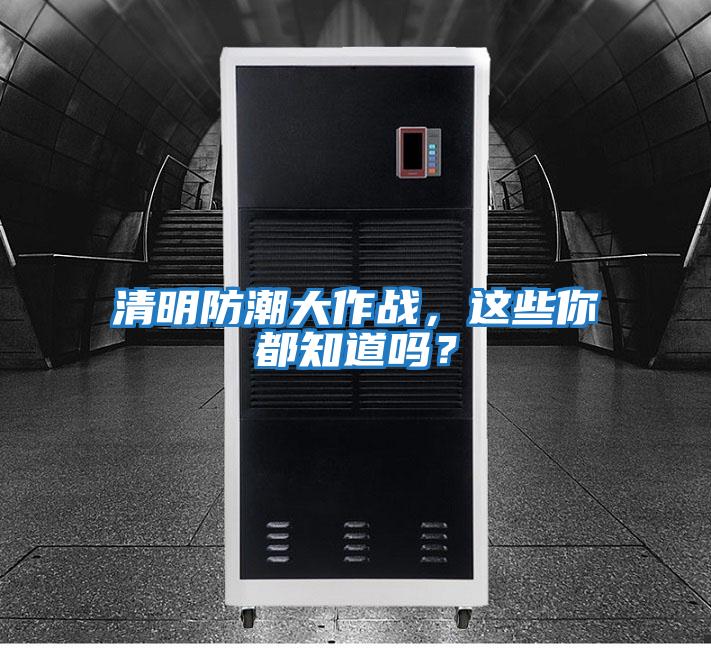 清明防潮大作戰，這些你都知道嗎？