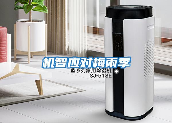 機(jī)智應(yīng)對梅雨季
