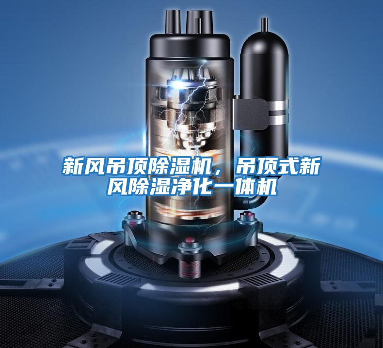 新風吊頂除濕機，吊頂式新風除濕凈化一體機