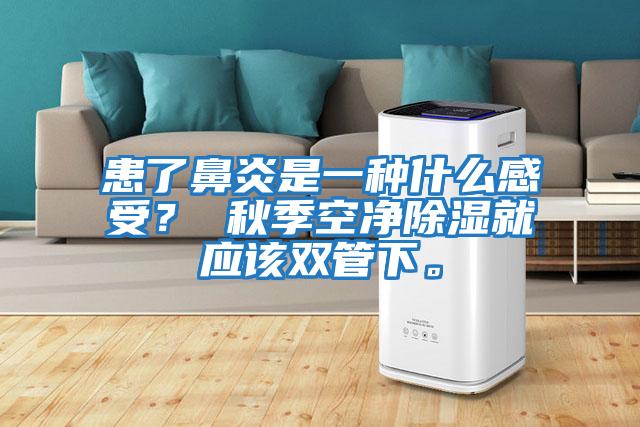 患了鼻炎是一種什么感受？ 秋季空凈除濕就應(yīng)該雙管下。