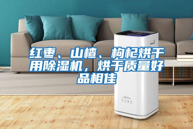 紅棗、山楂、枸杞烘干用除濕機，烘干質量好品相佳