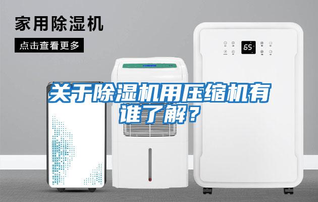 關(guān)于除濕機用壓縮機有誰了解？