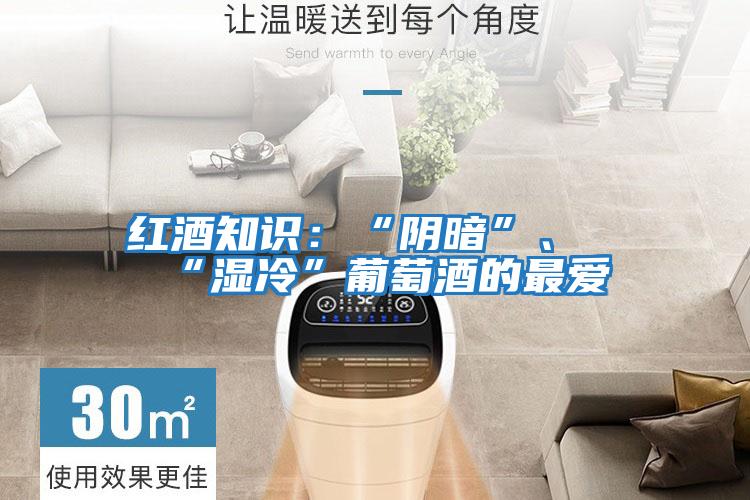 紅酒知識(shí)：“陰暗”、“濕冷”葡萄酒的最愛