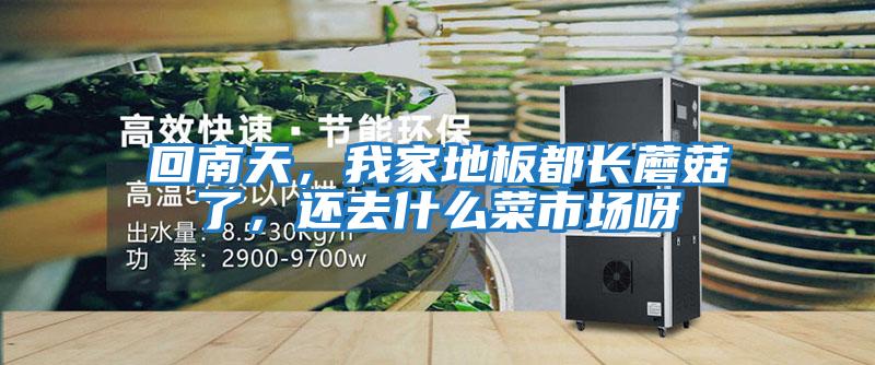 回南天，我家地板都長(zhǎng)蘑菇了，還去什么菜市場(chǎng)呀