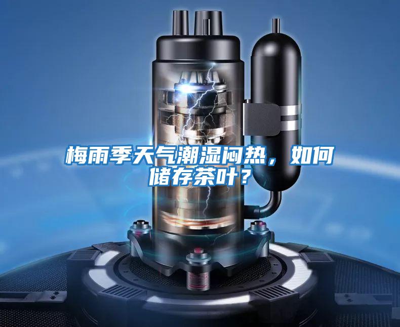梅雨季天氣潮濕悶熱，如何儲存茶葉？