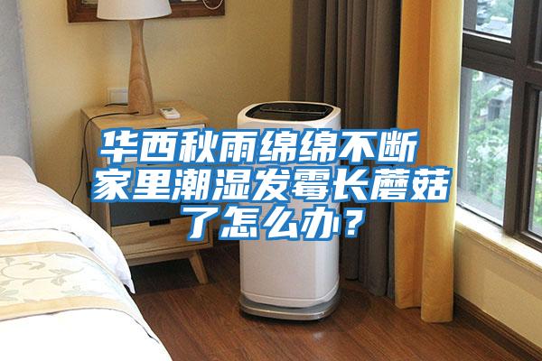 華西秋雨綿綿不斷 家里潮濕發霉長蘑菇了怎么辦？