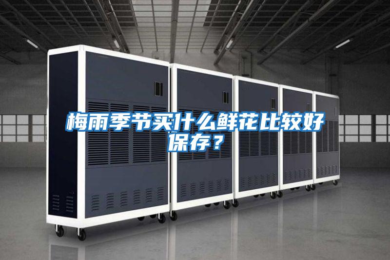 梅雨季節買什么鮮花比較好保存？