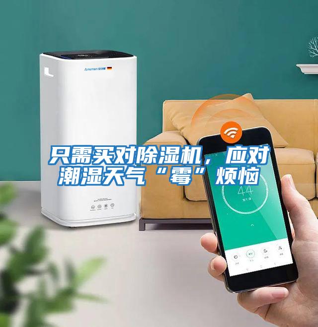 只需買對除濕機，應(yīng)對潮濕天氣“霉”煩惱