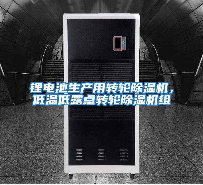 鋰電池生產(chǎn)用轉(zhuǎn)輪除濕機，低溫低露點轉(zhuǎn)輪除濕機組