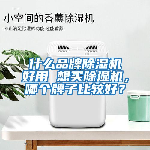 什么品牌除濕機好用 想買除濕機，哪個牌子比較好？
