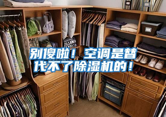別傻啦！空調是替代不了除濕機的！