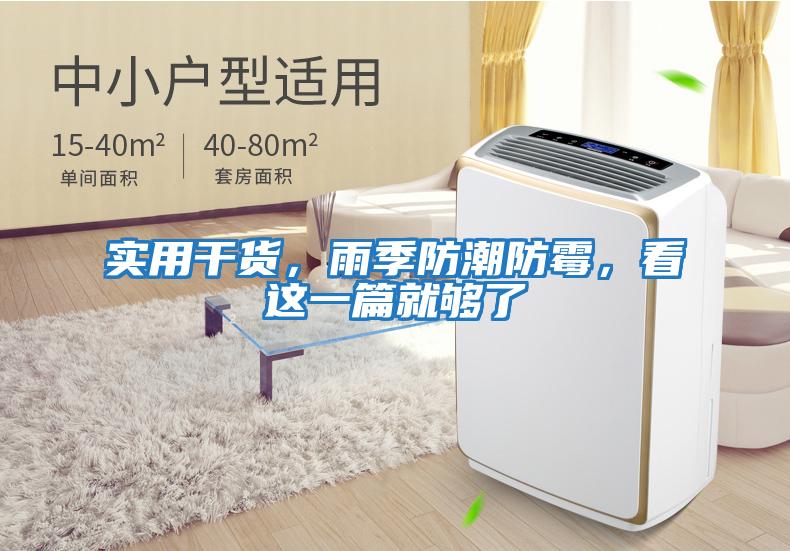 實用干貨，雨季防潮防霉，看這一篇就夠了