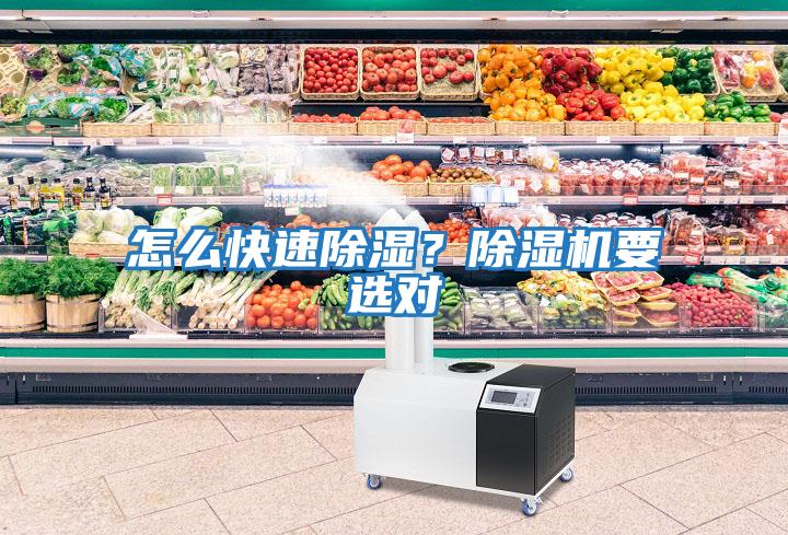 怎么快速除濕？除濕機(jī)要選對