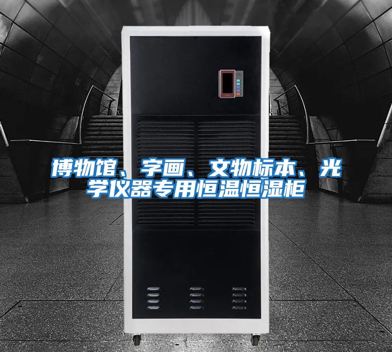 博物館、字畫、文物標本、光學儀器專用恒溫恒濕柜