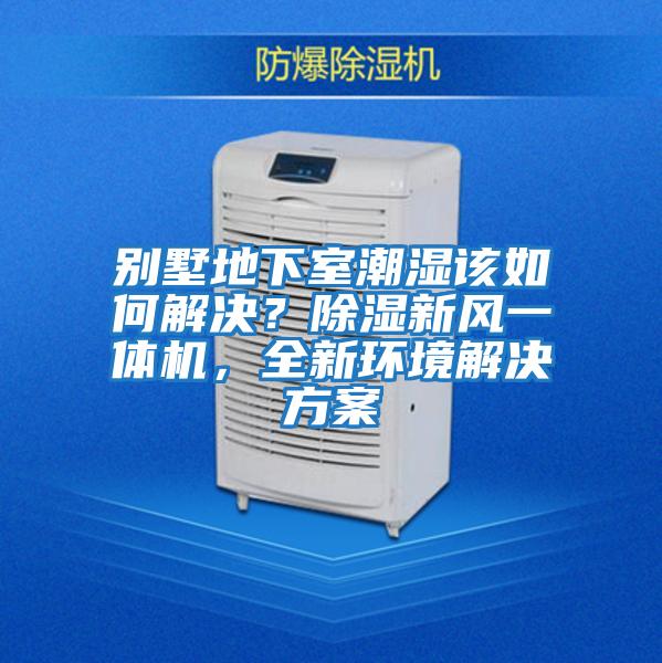 別墅地下室潮濕該如何解決？除濕新風(fēng)一體機(jī)，全新環(huán)境解決方案