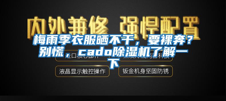 梅雨季衣服曬不干，要裸奔？別慌，cado除濕機(jī)了解一下