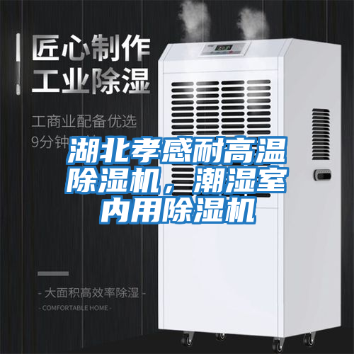湖北孝感耐高溫除濕機(jī)，潮濕室內(nèi)用除濕機(jī)