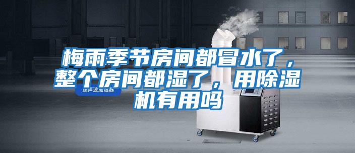 梅雨季節房間都冒水了，整個房間都濕了，用除濕機有用嗎
