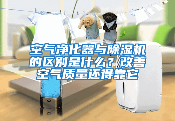 空氣凈化器與除濕機的區別是什么？改善空氣質量還得靠它