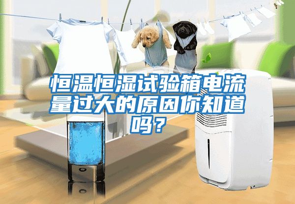 恒溫恒濕試驗箱電流量過大的原因你知道嗎？
