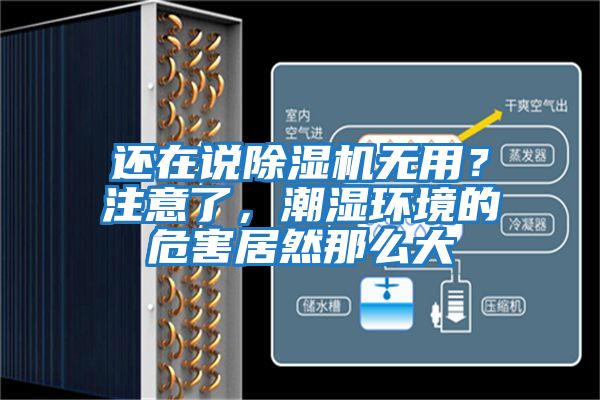 還在說(shuō)除濕機(jī)無(wú)用？注意了，潮濕環(huán)境的危害居然那么大