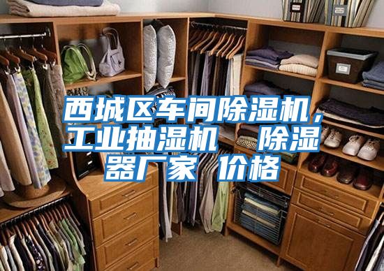 西城區車間除濕機，工業抽濕機  除濕器廠家 價格