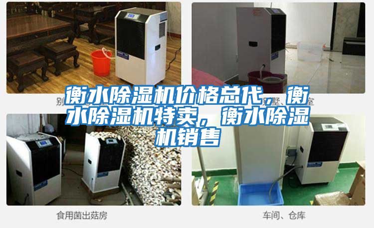衡水除濕機價格總代，衡水除濕機特賣，衡水除濕機銷售