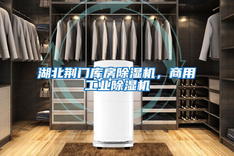 湖北荊門庫房除濕機，商用工業除濕機