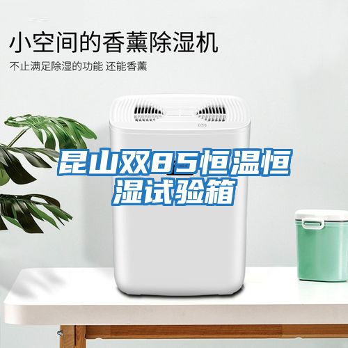 昆山雙85恒溫恒濕試驗(yàn)箱