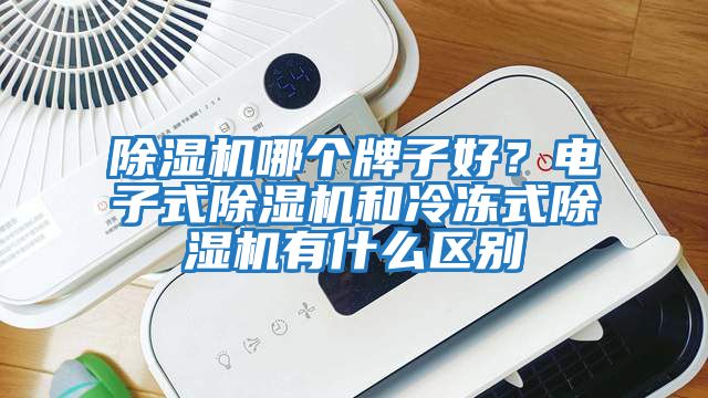 除濕機哪個牌子好？電子式除濕機和冷凍式除濕機有什么區別