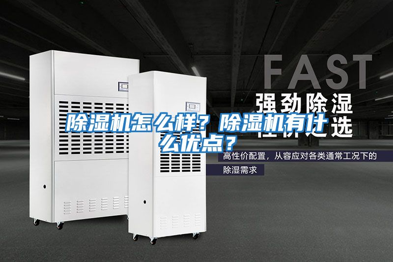除濕機怎么樣？除濕機有什么優點？